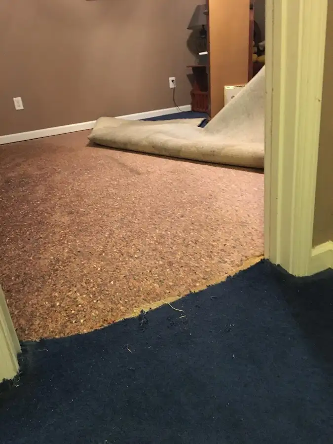 Carpet pad removal revealing water damage during Drying & Dehumidification in Allen Park