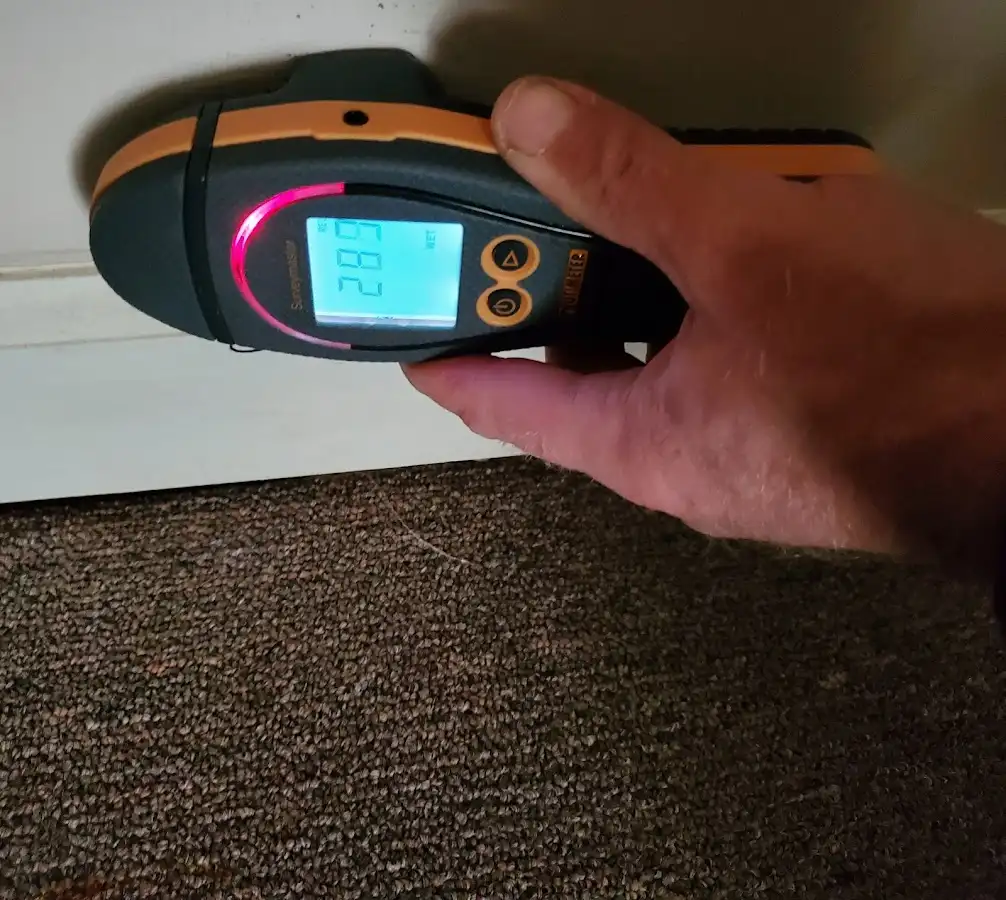 Moisture detection at baseboard during Sewage Cleanup & Sanitation in Allen Park